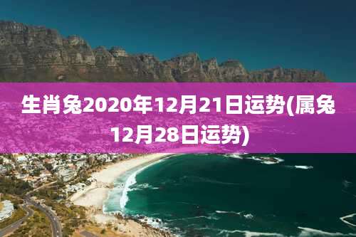 生肖兔2020年12月21日运势(属兔12月28日运势)