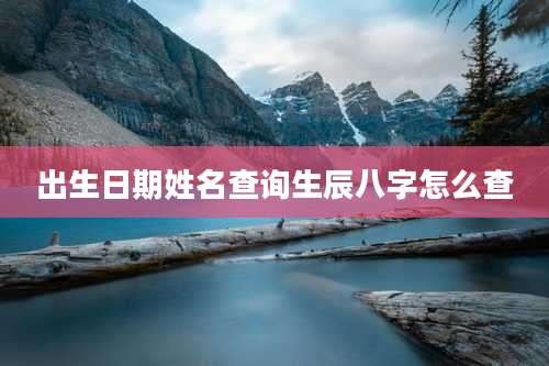 出生日期姓名查询生辰八字怎么查