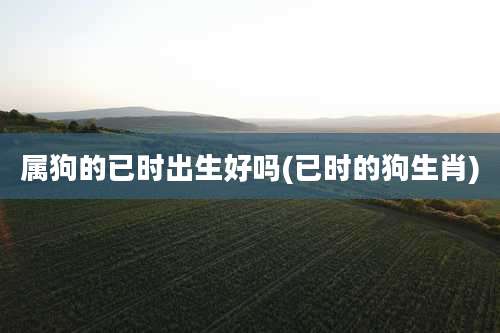 属狗的已时出生好吗(已时的狗生肖)
