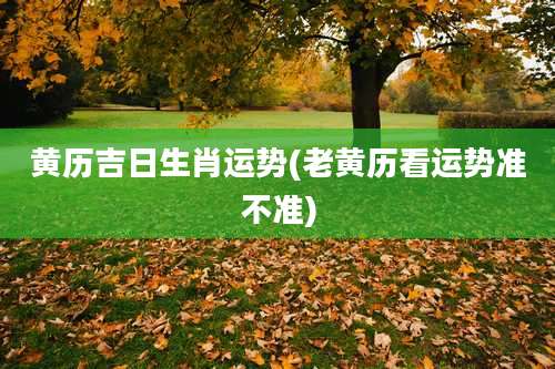 黄历吉日生肖运势(老黄历看运势准不准)