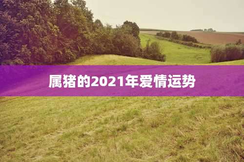 属猪的2021年爱情运势