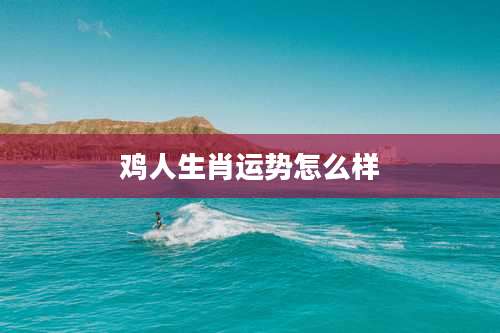 鸡人生肖运势怎么样