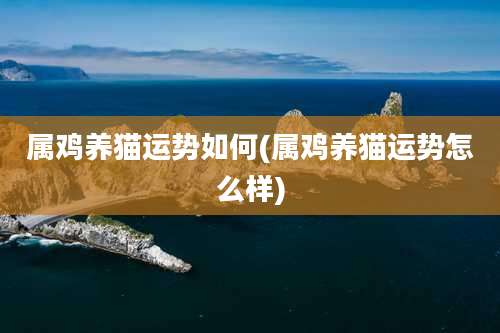 属鸡养猫运势如何(属鸡养猫运势怎么样)