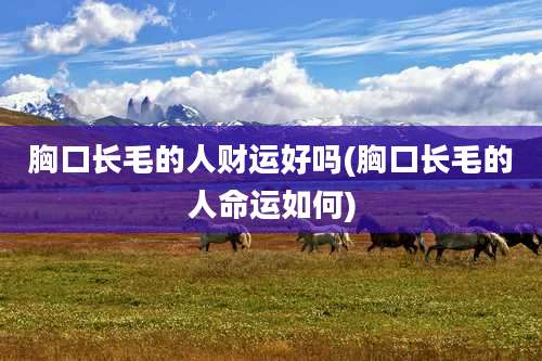 胸口长毛的人财运好吗(胸口长毛的人命运如何)