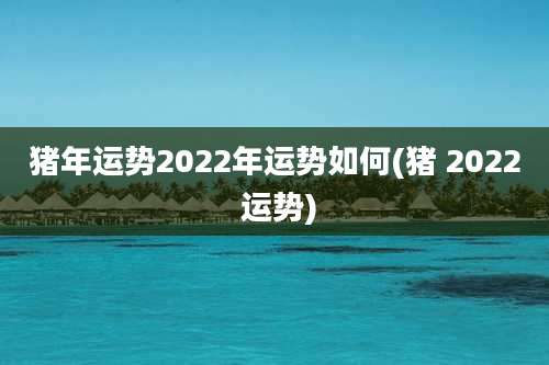 猪年运势2022年运势如何(猪 2022 运势)
