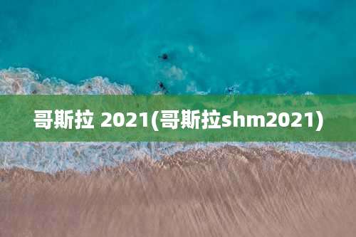 哥斯拉 2021(哥斯拉shm2021)