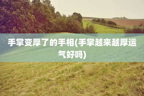 手掌变厚了的手相(手掌越来越厚运气好吗)