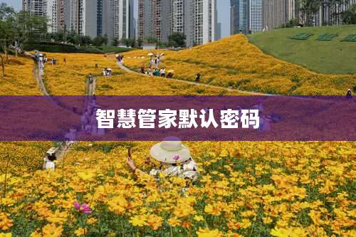 智慧管家默认密码