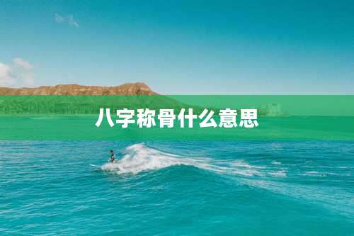 八字称骨什么意思