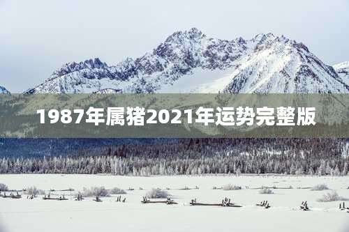 1987年属猪2021年运势完整版