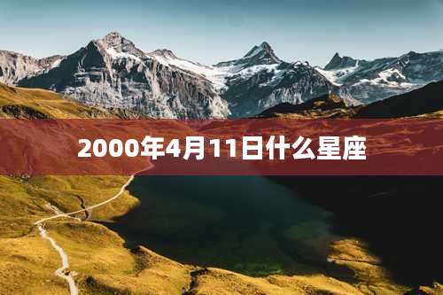 2000年4月11日什么星座