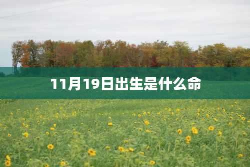 11月19日出生是什么命