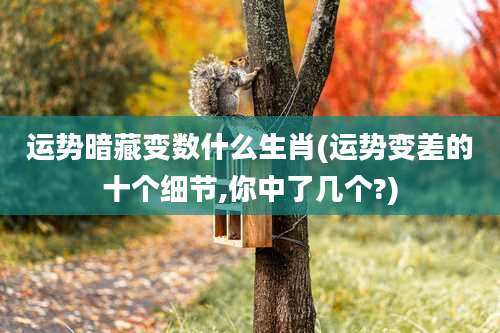 运势暗藏变数什么生肖(运势变差的十个细节,你中了几个?)