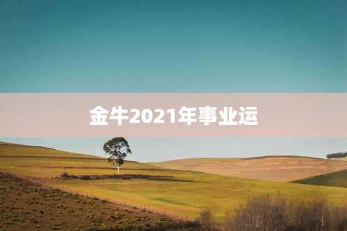 金牛2021年事业运