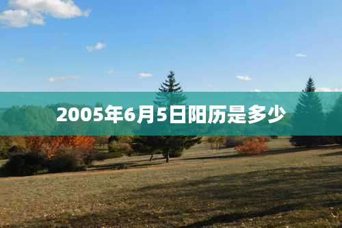 2005年6月5日阳历是多少