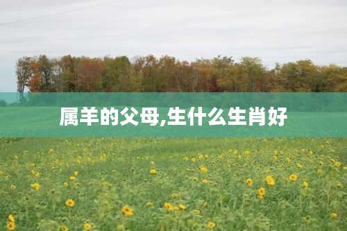 属羊的父母,生什么生肖好