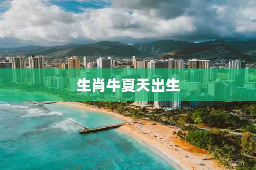 生肖牛夏天出生