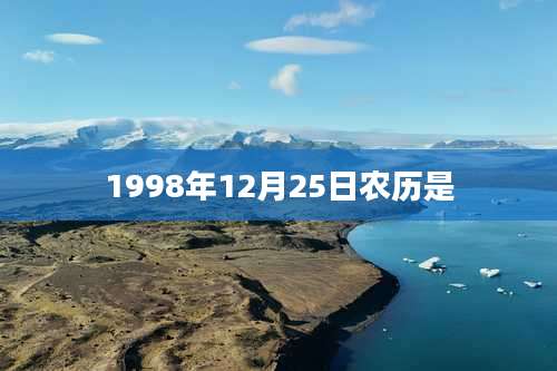 1998年12月25日农历是