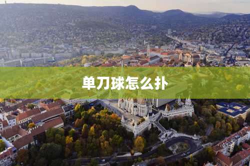 单刀球怎么扑