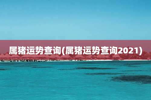 属猪运势查询(属猪运势查询2021)