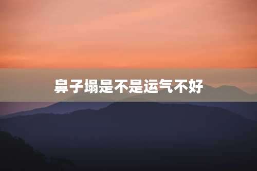 鼻子塌是不是运气不好