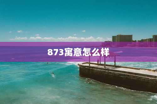 873寓意怎么样