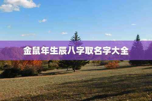 金鼠年生辰八字取名字大全