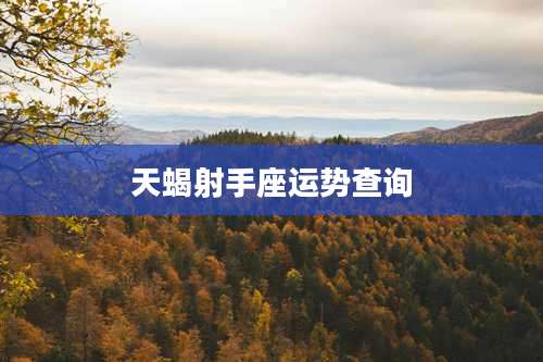 天蝎射手座运势查询