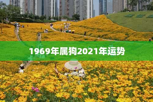 1969年属狗2021年运势