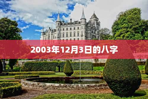 2003年12月3日的八字