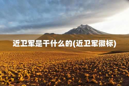 近卫军是干什么的(近卫军徽标)