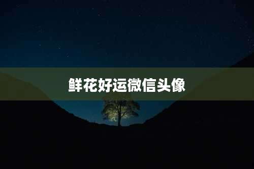 鲜花好运微信头像