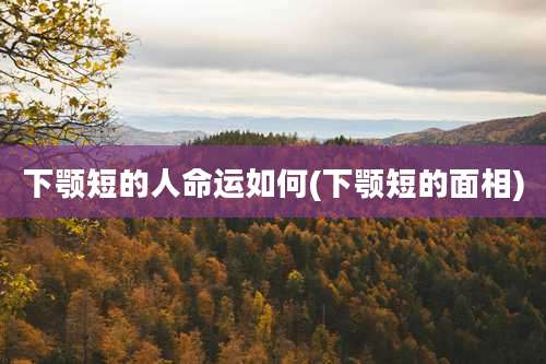 下颚短的人命运如何(下颚短的面相)