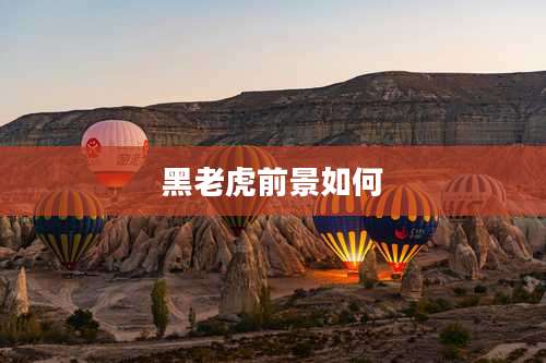 黑老虎前景如何