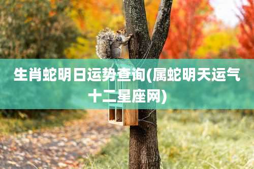 生肖蛇明日运势查询(属蛇明天运气十二星座网)