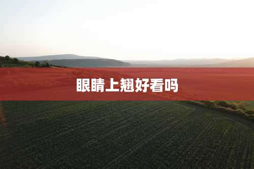 眼睛上翘好看吗