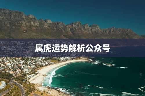 属虎运势解析公众号