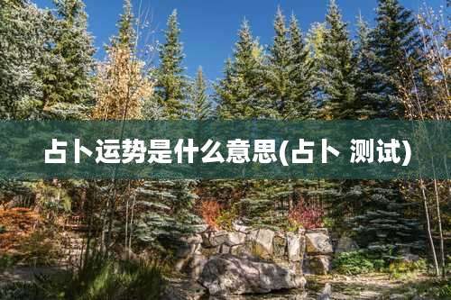 占卜运势是什么意思(占卜 测试)