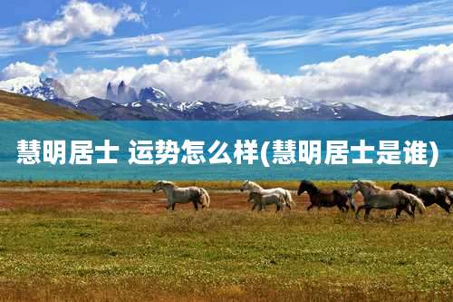 慧明居士 运势怎么样(慧明居士是谁)