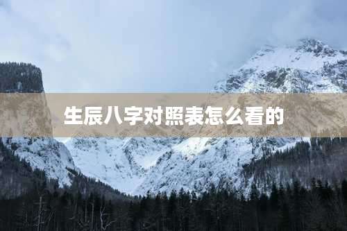 生辰八字对照表怎么看的