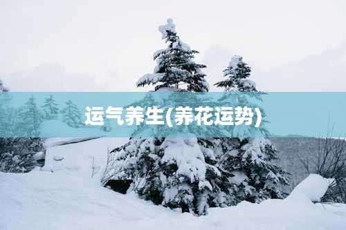 运气养生(养花运势)