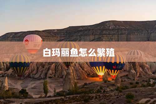 白玛丽鱼怎么繁殖