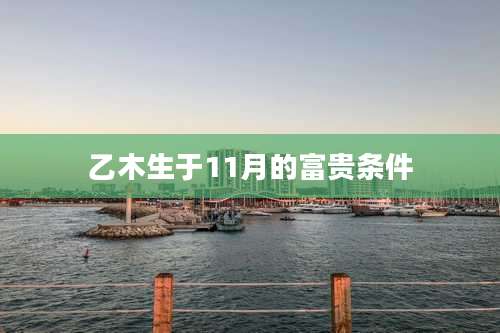 乙木生于11月的富贵条件