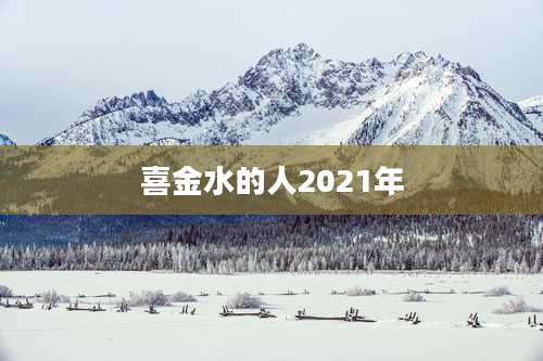 喜金水的人2021年