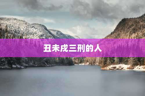 丑未戌三刑的人