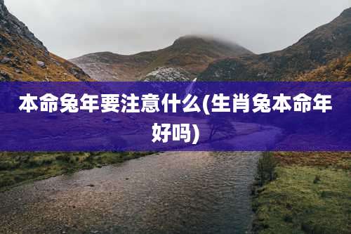 本命兔年要注意什么(生肖兔本命年好吗)