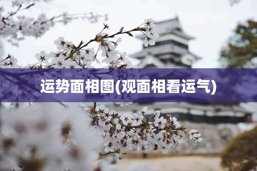 运势面相图(观面相看运气)