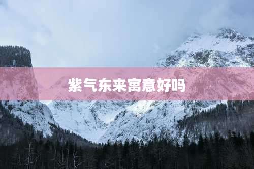 紫气东来寓意好吗