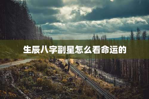 生辰八字副星怎么看命运的