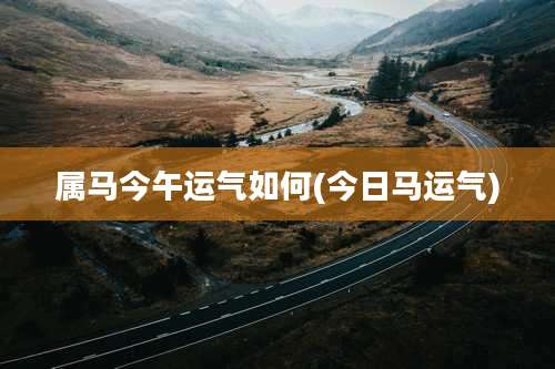 属马今午运气如何(今日马运气)